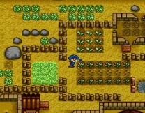 Harvest Moon  ROM