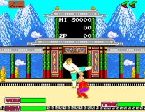 Hokuha Syourin Hiryu no Ken ROM