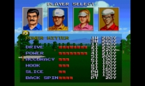 Irem Skins Game, The  ROM