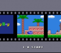 Jerry Boy  ROM
