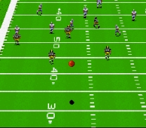John Madden Football  ROM