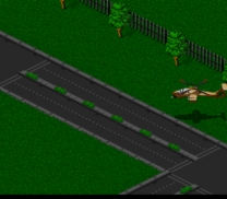 Jungle Strike  ROM