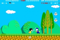 Kid Niki - Radical Ninja  ROM