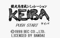 Kyoso Uma Ikusei Simulation Keiba  [M]Rom