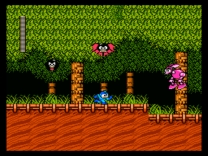 Mega Man 2  ROM