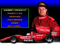 Michael Andretti's IndyCar Challenge  ROM
