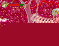 Monster Maulers  ROM