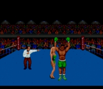 Muhammad Ali Heavyweight Boxing  ROM