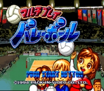 Multi Play Volleyball  ROM