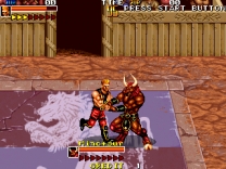 Mutant Fighter  ROM