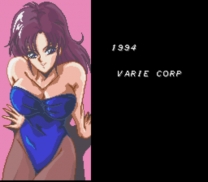 Nakajima Satoru Kanshuu F-1 Hero '94  ROM