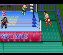 Natsume Championship Wrestling  ROM