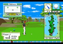 New 3D Golf Simulation Devil's Course  ROM