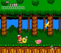 New Adventure Island  ROM