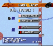 NHL '96  ROM