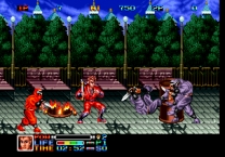 Ninja Combat  ROM