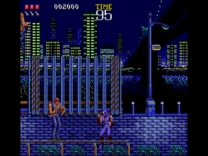 Ninja Gaiden   [b] ROM
