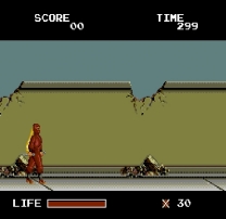 Ninja Warriors, The  ROM