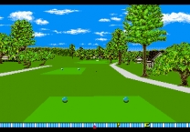 Pebble Beach Golf Links  ROM