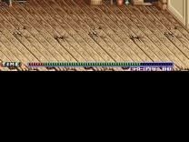 Peter Pan  ROM