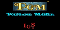 PGM  System BIOS ROM