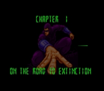 Phantom 2040   ROM