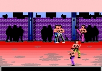 Pit Fighter  ROM