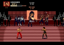 Pit-Fighter   ROM