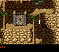 Prince of Persia 2 - The Shadow & The Flame  ROM