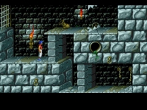 Prince of Persia    ROM