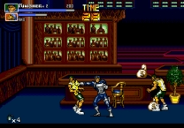 Punisher, The  ROM
