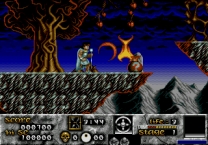 Risky Woods  ROM