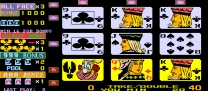 Royal Poker '96  ROM