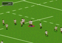 Rugby World Cup 1995   ROM