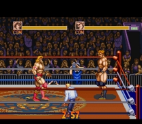 Saturday Night Slam Masters  ROM