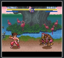 SD Hiryuu no Ken  ROM