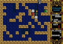 [SegaNet] Pyramid Magic II  ROM