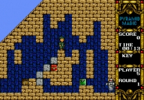 [SegaNet] Pyramid Magic Special  ROM
