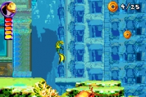 Shark Tale  ROM
