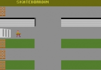Skate Boardin'    ROM