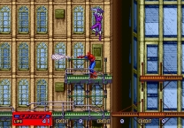 Spider-Man: The Videogame  ROM