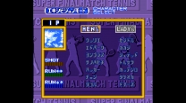 Super Final Match Tennis  ROM