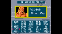 Super Fire Pro Wrestling 2  ROM