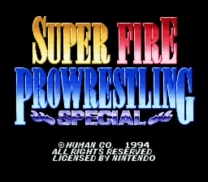 Super Fire Pro Wrestling Special   ROM