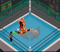Super Fire Pro Wrestling Special  ROM