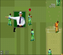 Super International Cricket  ROM