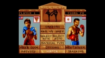Super Kick Boxing - Best of the Best  ROM