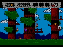 Super Strike Eagle   ROM