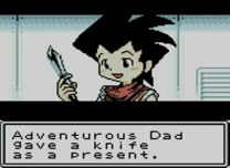 Survival Kids  ROM