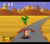 Taz-Mania   ROM